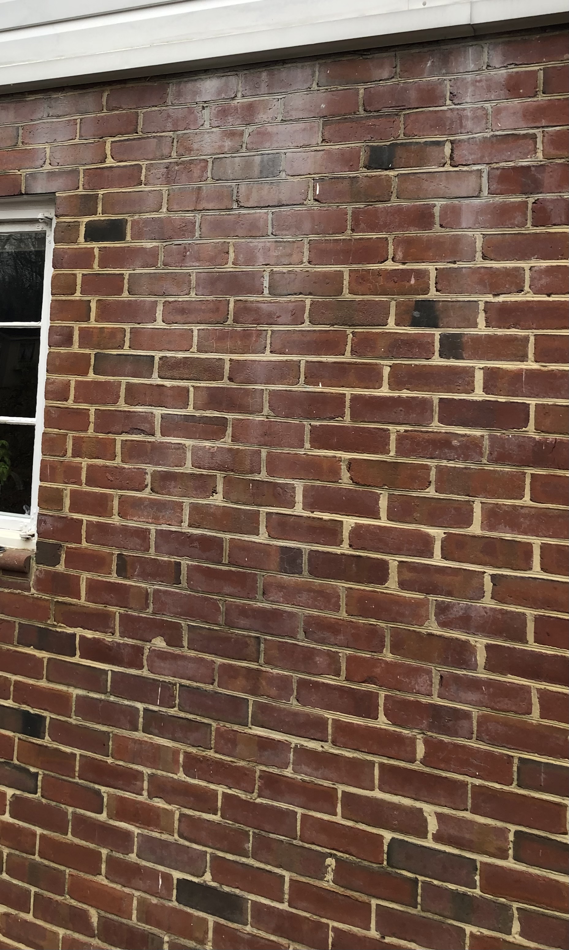 Removed white chalky residue from brick in Staunton Va Image